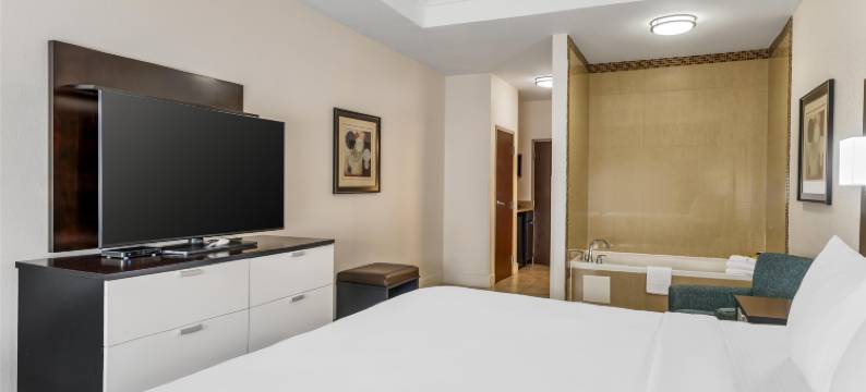 JFK贝斯特韦斯特优质套房酒店(Best Western Plus JFK Inn  Suites)图片