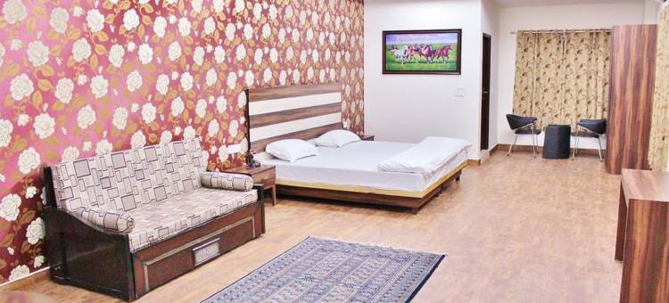 现代尼姆拉纳酒店(Adhunik Hotel Neemrana)图片