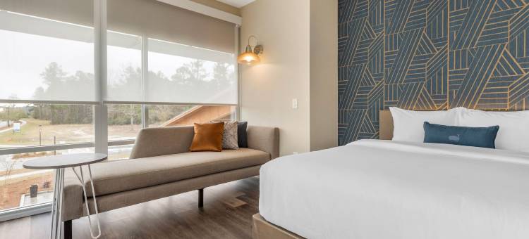 DoubleTree by Hilton Summerville Nexton图片