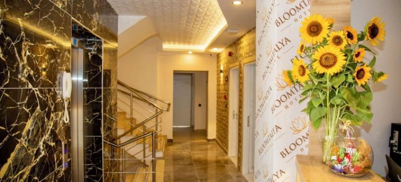 布鲁姆塔利亚酒店(Bloomtalya Hotel)图片
