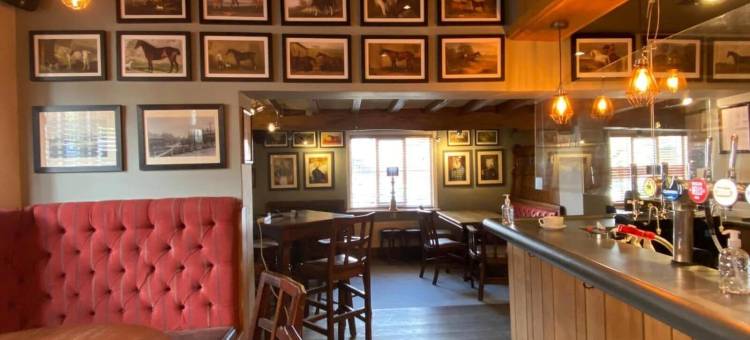 星辰1744宾馆(The Star Inn 1744)图片