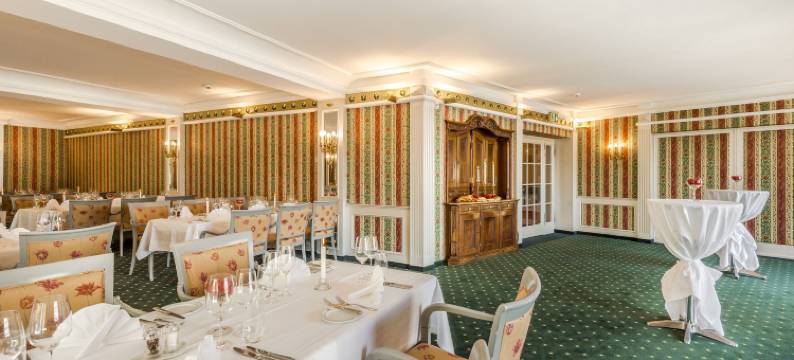 阿尔皮纳酒店(Hotel Alpina Luzern)图片