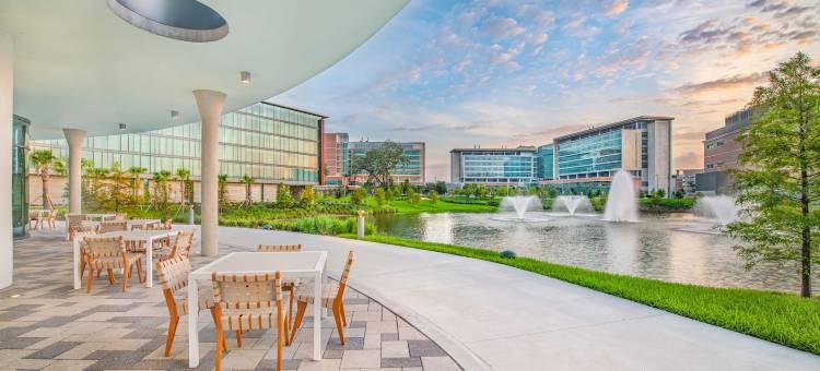 佛罗里达大学的Hotel Eleo(Hotel Eleo at the University of Florida)图片