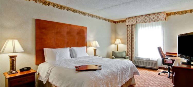 利斯堡欢朋套房酒店(Hampton Inn & Suites Leesburg)图片