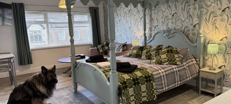 特拉斯房间(Traeth Rooms)图片
