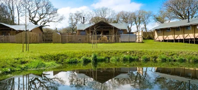 丛林书萨法利帐篷(Jungle Book Safari Tent)图片