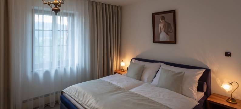 波德哈德姆 - 酒店(Hotel Zámeček Pod Hradem Starý Jičín 111)图片