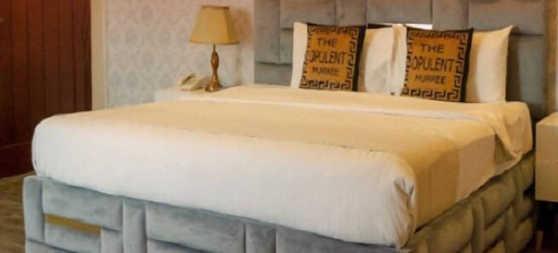 The Opulent奢华度假酒店和会议(The Opulent Hotel Murree)图片