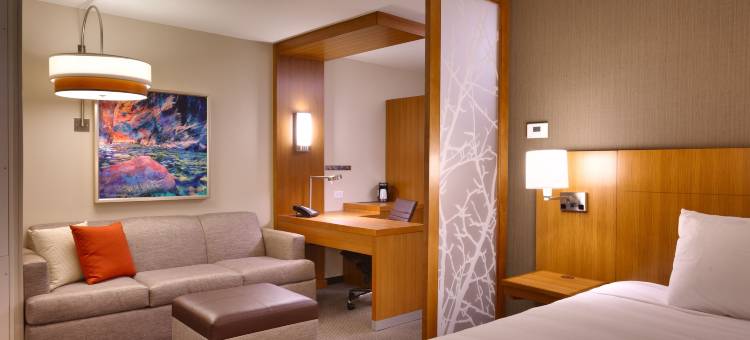 圣乔治凯悦嘉轩酒店-会议中心(Hyatt Place St George/Convention Center)图片