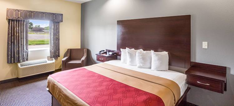 巴吞鲁日大学区 - 伊克诺旅馆(Econo Lodge Baton Rouge University Area)图片