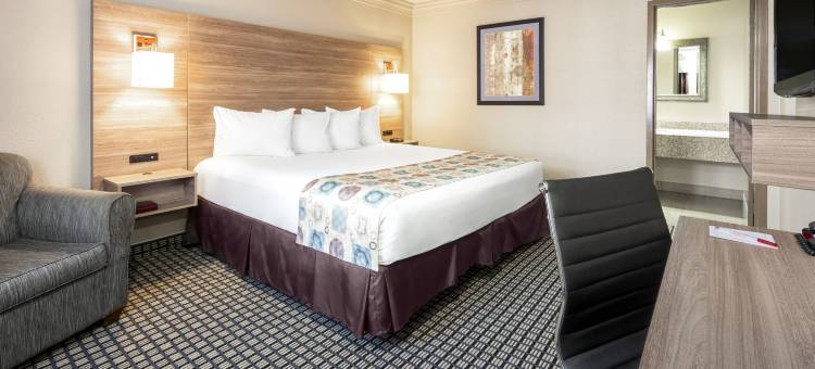 红狮酒店及套房休斯敦IAH机场(Red Lion Inn & Suites Houston IAH Airport)图片