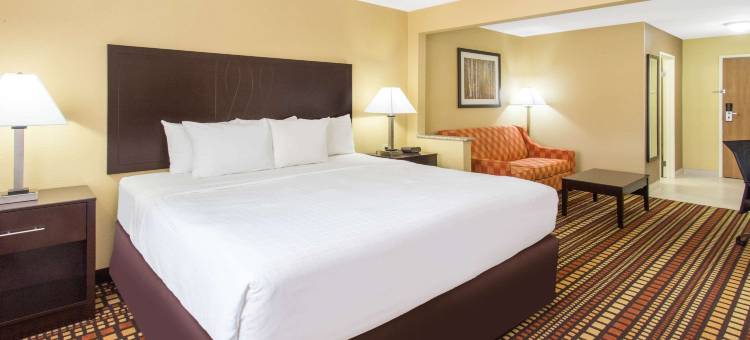 达文波特东戴斯套房酒店(Days Inn & Suites by Wyndham Davenport East)图片