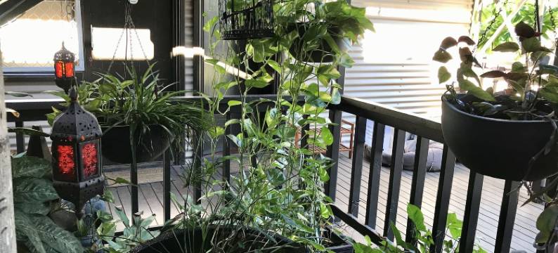 金伯利旅人旅馆 - 青年旅舍(Kimberley Travellers Lodge - Broome YHA)图片