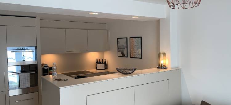 苏黎世捏德多夫格罗斯公寓(Zürich Niederdorf - Grossmünster)图片