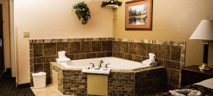 费尔布里奇快捷旅馆-狄龙(FairBridge Inn Express Dillon)图片