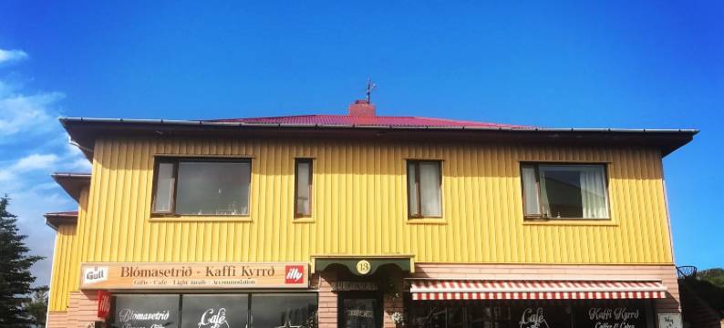 布鲁马斯提奥民宿(Blómasetrið Homestay)图片