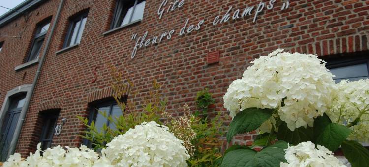 田野之花公寓 – Esc’Appart(Appartement Fleurs des Champs - Esc'Appart)图片