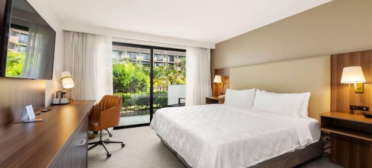洲际圣何塞拉萨瓦纳假日酒店(Holiday Inn San Jose la Sabana)图片