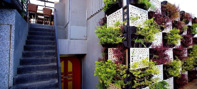 德娜拉酒店(Hotel de Nada)图片