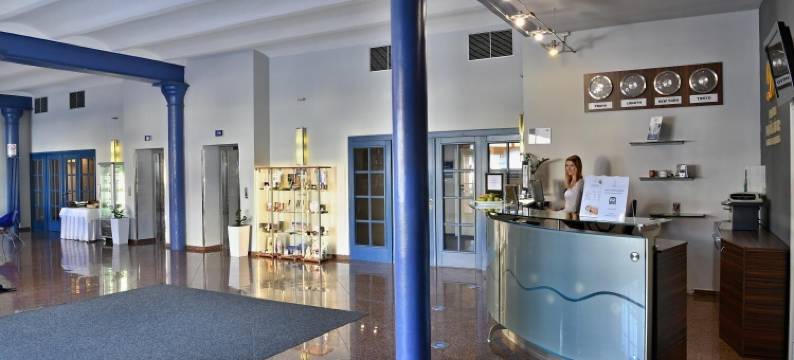 德沃夏克塔博尔LH酒店(LH Hotel Dvořák Tábor Congress & Wellness)图片