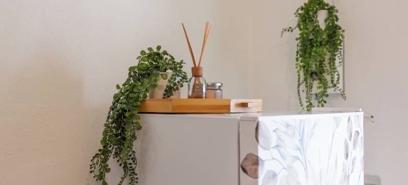 阿尔戈旅馆(Casa Argo Guest House)图片