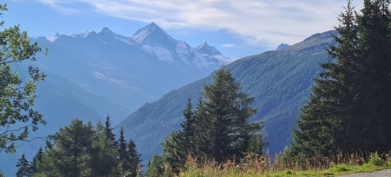 奥贝尔热德洛尔斯(Auberge de l'Ours)图片