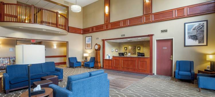 舒适套房酒店(Comfort Inn & Suites)图片