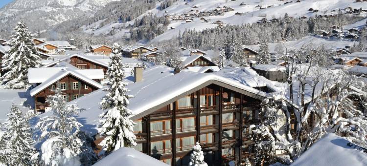 伦克酒店(Hotel Kreuz Lenk)图片