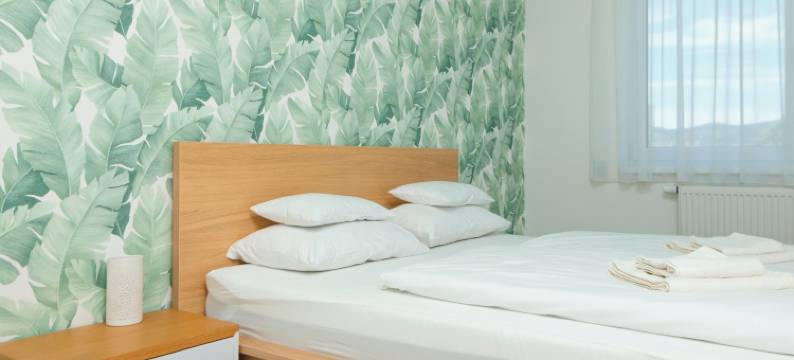 Dagály 公寓，由 FirstHost 提供(Dagály Apartments by FirstHost)图片