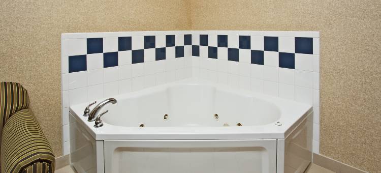 智选假日套房酒店安德森(Holiday Inn Express & Suites ANDERSON by IHG)图片