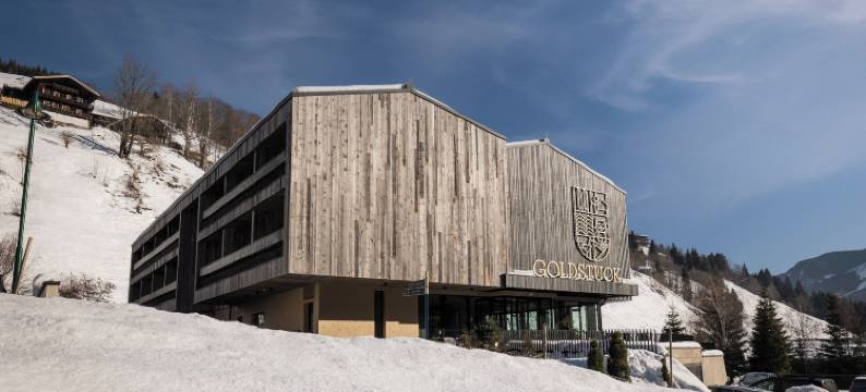 Goldstück - 限成人(Goldstück - Adults Only)图片