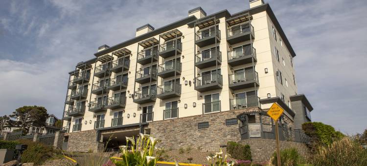 海鸥旅馆(Shearwater Inn)图片