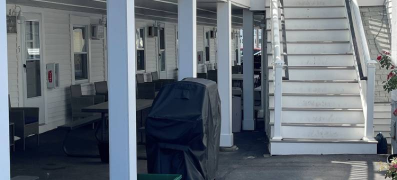 蓝松鸦汽车旅馆(Blue Jay Motel)图片