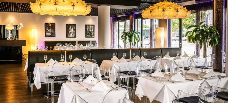 萨尔路易斯维克多公寓酒店(Victor's Residenz-Hotel Saarlouis)图片