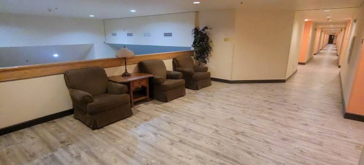 肖洛温德姆速8酒店(Super 8 by Wyndham Show Low)图片