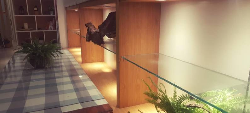 南投日月潭泽瑚民宿图片