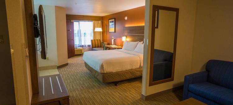 智选假日套房酒店帕斯科 - TRICITIES by IHG(Holiday Inn Express & Suites Pasco-Tricities by IHG)图片