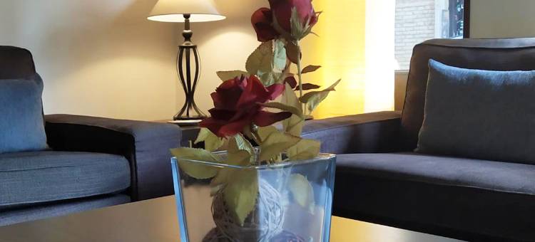 托莱多帝国饭店(Sercotel Toledo Imperial)图片