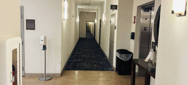 普利茅斯舒适套房酒店 - 近 US-30(Comfort Suites Plymouth Near US-30)图片