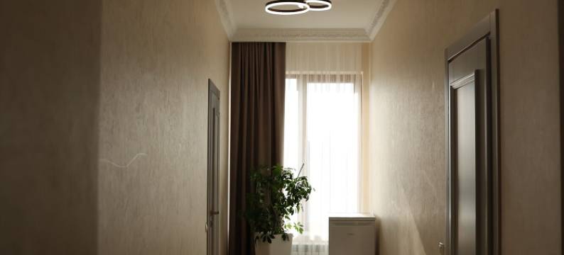 法兰西旅馆(Hotel France Vinnytsya)图片