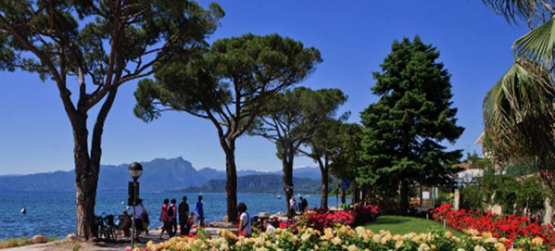 Shimmering Serenity in Pastrengo图片