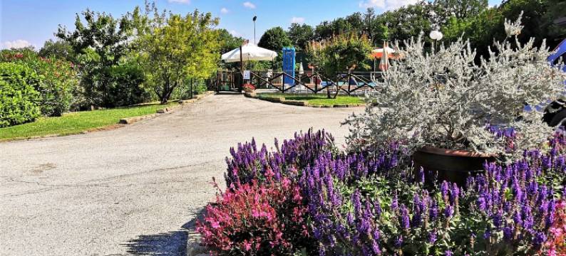 Villa in Marche with Private Pool图片