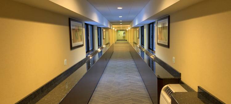 约翰斯敦市区假日酒店(Holiday Inn Johnstown-Downtown)图片