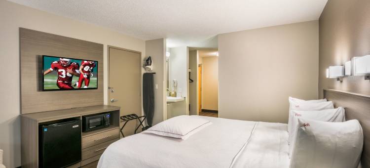 波士顿洛根红顶Plus酒店(Red Roof Plus+ Boston - Logan)图片