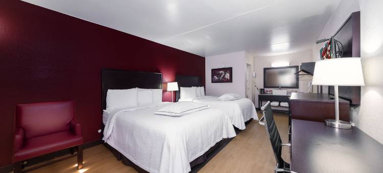 麦迪逊亨茨维尔红顶Plus酒店(Red Roof Plus+ Huntsville - Madison)图片