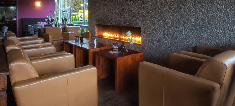 弗莱彻酒店(Fletcher Hotel - Restaurant de Zeegser Duinen)图片