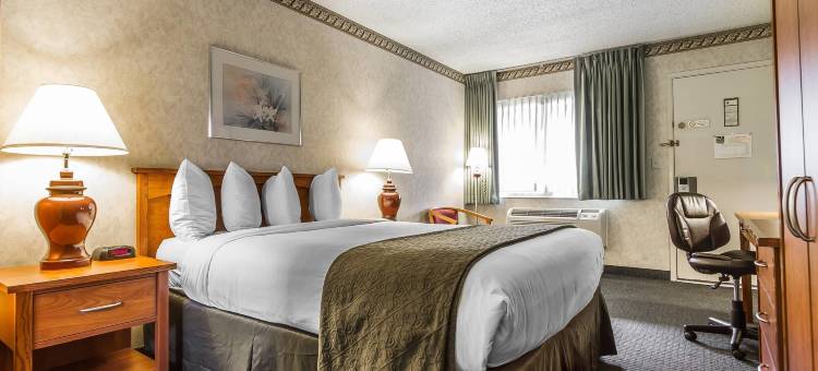 硅谷凯艺套房酒店(Quality Inn & Suites Silicon Valley)图片