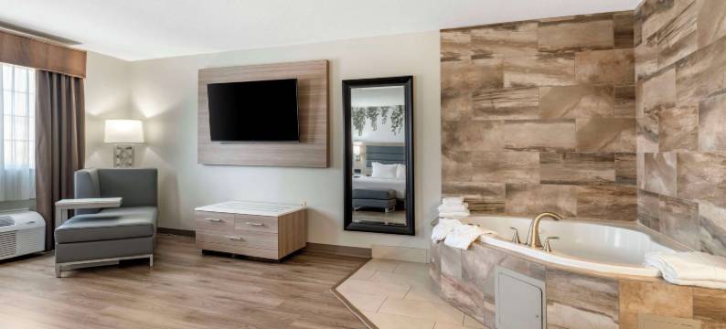 葡萄园贝斯特韦斯特优质酒店(Best Western Plus Vineyard Inn)图片