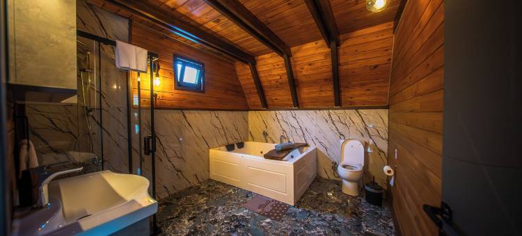 吉泽根平房(Gezegen Bungalow)图片