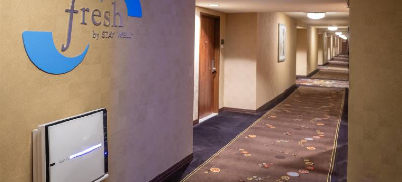 黄金斯特里科娱乐场酒店(Gold Strike Casino Resort)图片